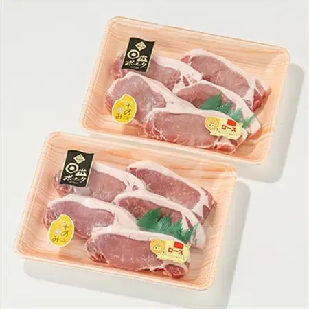 【日出ポーク】豚ロース100g×10枚_肉  豚肉 _【配送不可地域：離島】【1098110】