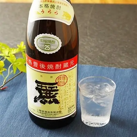 大分むぎ焼酎 二階堂25度・麗25度2本セット(1800ml)AG22_大分むぎ焼酎 二階堂 麦焼酎 焼酎 酒 酒セット 焼酎セット  まとめ買い 飲み比べ_【1078145】