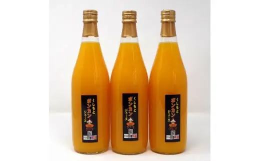 無添加！くしもとポンカンジュース B 720ml ×3本セット まるごと絞った果汁100%ジュース / ドリンク 柑橘 ぽんかん フルーツ みかん ミカン オレンジ 限定 和歌山【sse203A】