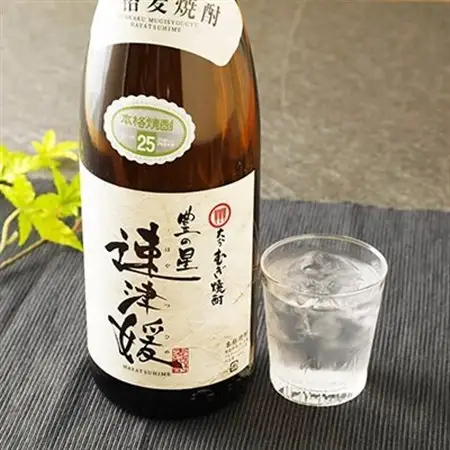 大分むぎ焼酎 二階堂25度・速津媛25度2本セット(1800ml)AG21_大分むぎ焼酎 二階堂 麦焼酎 焼酎 酒 酒セット 焼酎セット  まとめ買い 飲み比べ_【1078144】