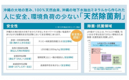 レキオパワー除菌スプレー（480ml×1本と100ml×2本）