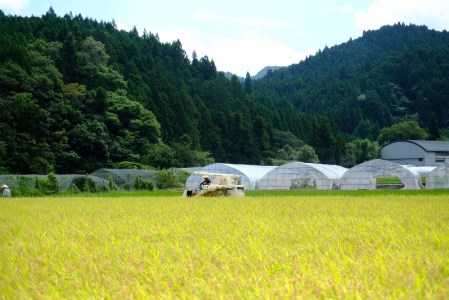 令和7年産特別栽培米 奈良県曽爾村で作ったブランド特別栽培米 曽爾米 (コシヒカリ)白米5kg / 第23回米・食味分析鑑定コンクール：国際大会で特別優秀賞受賞