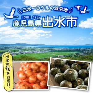 i460 旬の野菜・果物おまかせセット(8～10種類)ツルの恩返し野菜セット！鹿児島県出水市より国産野菜を市場直送！  野菜 果物 くだもの 詰め合わせ セット 国産 鹿児島県産 市場直送 旬 季節 何が届くかはお楽しみ【出水市出水駅観光特産品館 飛来里】