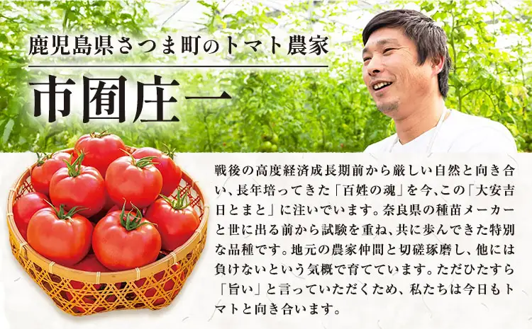 トマト とまと 大安吉日とまと 約1.2kg M玉 9個 《11月上旬-6月中旬頃出荷》 市囿庄一 鹿児島県 さつま町 野菜