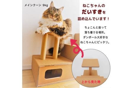 【ペット遊具】おもちゃ キャットタワー 猫用 ネコ 101-N142