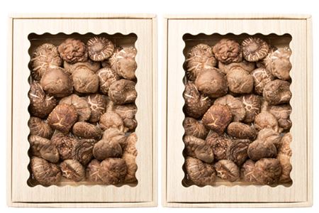 【厳選】椎葉村産 乾し椎茸 合計340g 【生産者大会4年連続優勝】170g×2箱 宮崎県産 国産 原木椎茸 原木 椎茸 しいたけ 乾しいたけ 干し椎茸 原木栽培 産地直送 きのこ 煮物 出汁 お鍋 化粧箱入 JA-23