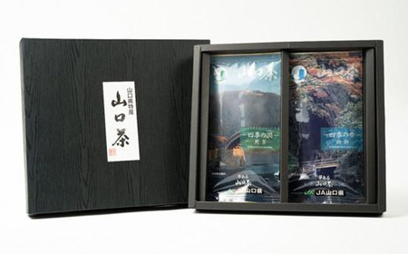 煎茶 2種 やまぐち巡り　四季の潤・歩　ふるさとの味「山口茶」煎茶 煎茶 煎茶 煎茶 AA07-FN