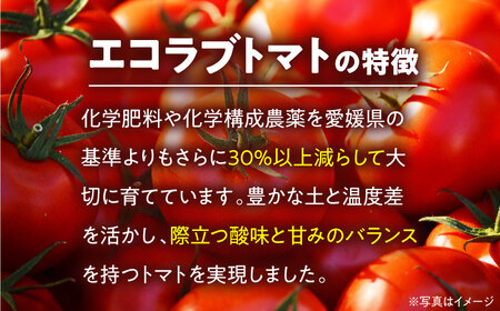トマト【5月上旬から順次発送】エコラブ トマト （20から24玉入）約3.5kg[AGBN012]