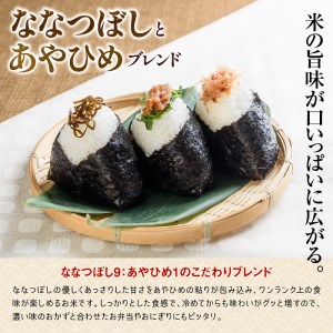 北海道米う米蔵１０ｋｇ(5ｋｇ×2袋)セット【29002403】