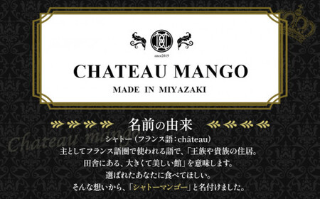 《2026年発送先行予約》【数量・期間限定】シャトーマンゴー(大) AAA 2玉 宮崎マンゴー シャトーマンゴー フルーツ 果物 果実 スイーツ 完熟 まんごー くだもの ギフト 人気 おすすめ 特産品 お土産 土産 手土産