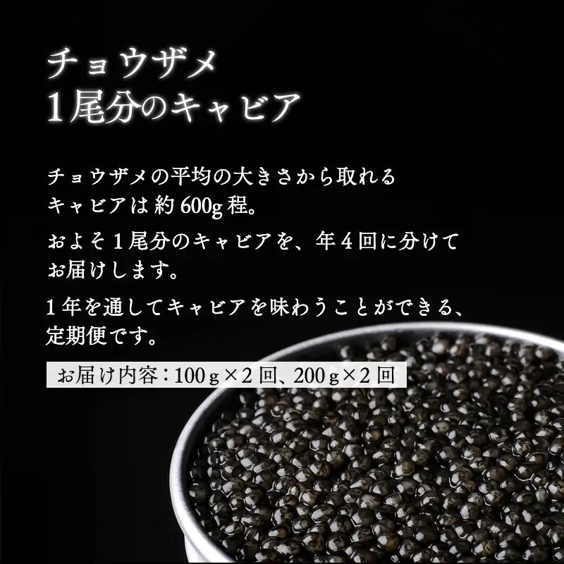 【定期便全4回】チョウザメ1尾分のキャビアを1年でお届け 定期便 国産 宮崎県産 キャビア 4回 チョウザメ 長期熟成 珍味 ギフト 化粧箱入り