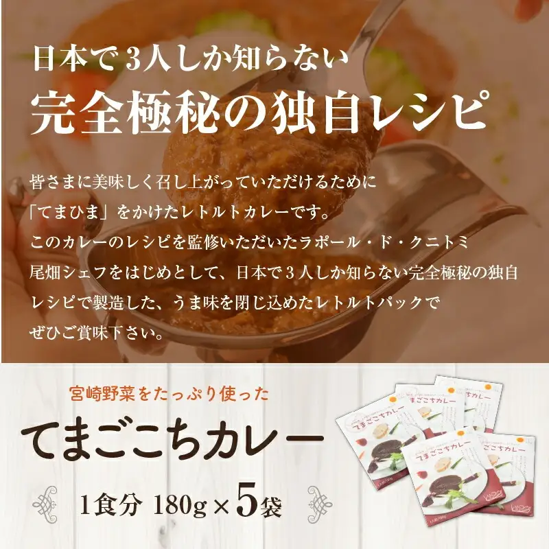 てまごこちカレー(180g×5袋)セット ご当地カレー カレー セット レトルトカレー レトルト パック 180g 5袋 独自レシピ スパイス 鶏もも肉 鶏肉 もも 常温