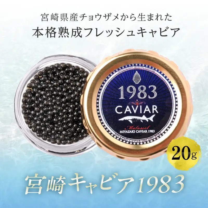宮崎キャビア1983 (20g) 国産 宮崎県産 キャビア 20g チョウザメ 長期熟成 珍味 ギフト 化粧箱入り