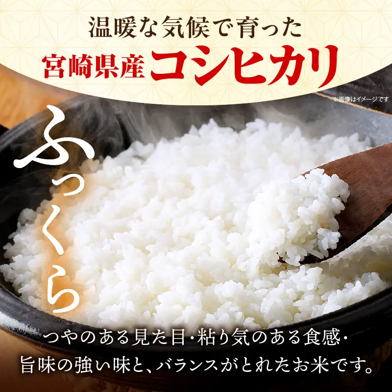 特別栽培米 宮崎県産コシヒカリ 5kg×1袋 米 お米 コシヒカリ 宮崎県産 5kg