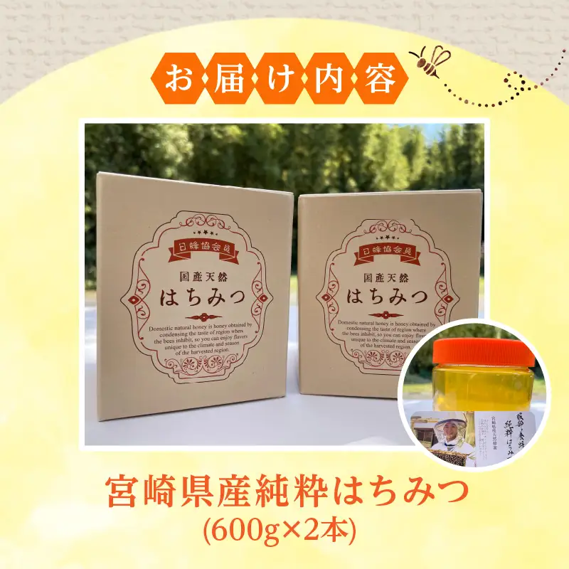【数量限定】宮崎県産純粋はちみつ(600g×2本) 国産 蜂蜜 ハチミツ はちみつ 600g 2本 天然 純粋 純粋蜂蜜 純粋はちみつ 天然蜂蜜 ミツバチ 蜜蜂 パン ヨーグルト 紅茶 グルメ お取り寄せ ギフト
