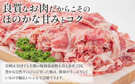 豚肉 切り落とし 3kg 宮崎県産 小分け 冷凍 豚肉
