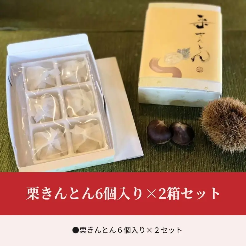 栗きんとん6個入り×2箱セット 栗きんとん 2箱 12個 栗 きんとん 栗餡 栗あん 秋 菓子 お菓子 和菓子 個包装 冷凍 スイーツ ギフト お取り寄せ