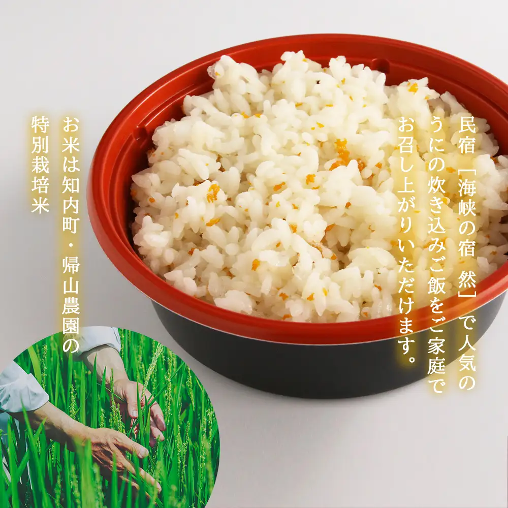 うに 知内町のおいしさたっぷり！うにの炊き込みごはん ～ 雲丹まんま ～ ×2（専用箱入り）＜海峡の宿 然＞