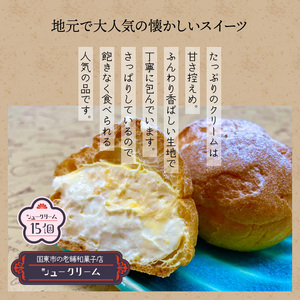 50年変わらない味！地元で人気のシュークリーム15個_1756R