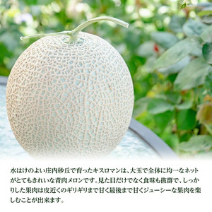 SB0907　庄内砂丘特産 「秀品 真夏のキスロマン」　約5kg(青肉4～6玉入)