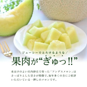 SA2947　庄内砂丘の旬夏　「秀品 アンデスメロン」　約5kg(青肉/4～6玉入)