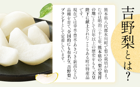 梨 吉野梨 旬の梨 約4kg 梨
