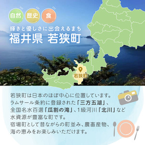 旅行 若狭町 プレミアム宿泊利用券 9000円分 1枚 宿泊補助券 福井県 福井 チケット 宿泊券 旅行券 宿泊 旅館 ホテル 9千円 福井県若狭町 