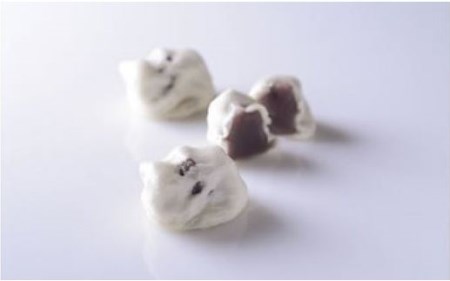 【プレミア和歌山】串本儀平 百年のこだわりの餡 うすかわ饅頭 20個入り（化粧箱入）【ghi104A】