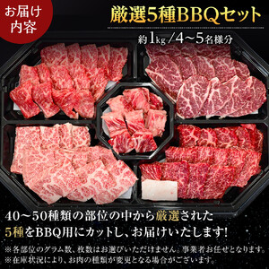 ＜期間限定・ソーセージ1袋付（お試し品）＞北海道産星空の黒牛 厳選5種BBQセット1kg　|  BBQ
