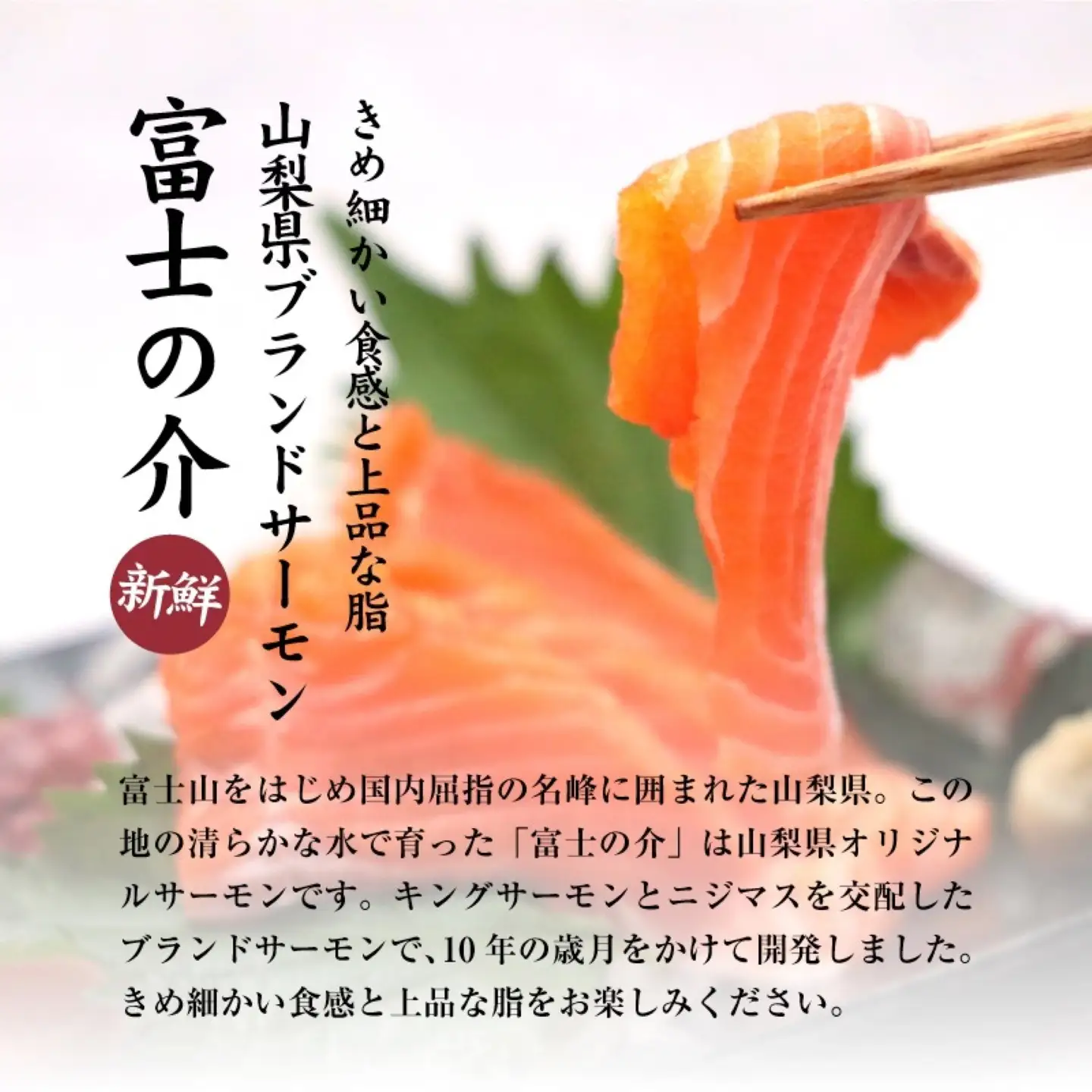 富士の介お刺し身セット|サーモン ニジマス 刺身  お刺身 魚 カルパッチョ