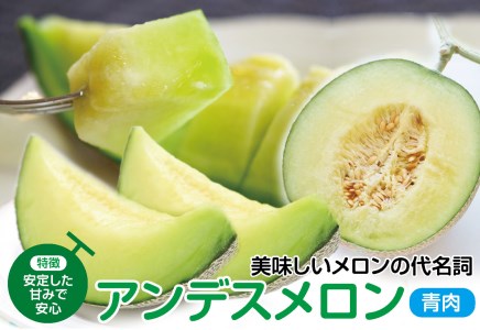 SA2965　庄内砂丘メロン アンデスメロン(青肉) 大玉3玉　計5.4kg以上　つる無し