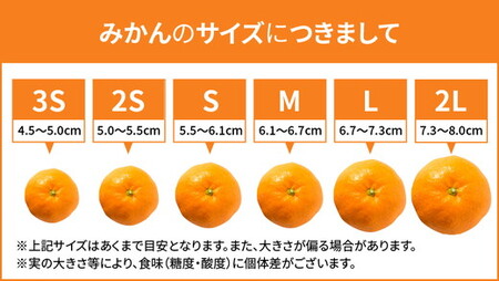 【先行予約】 有田みかん 家庭用 約5kg サイズ混合 和歌山県産
