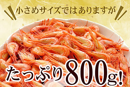 【北海道根室産】北海シマエビ800g(80～130尾) A-56014