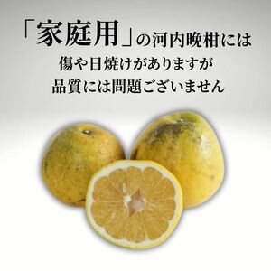 【家庭用】河内晩柑 （愛南ゴールド）5kg 柑橘 みかん 吉本農園 和製 グレープフルーツ ゼリー ジュース アイス 果物 フルーツ ギフト プレゼント 贈答 健康 美容 ビタミン クエン酸 送料無料 愛南町 愛媛県