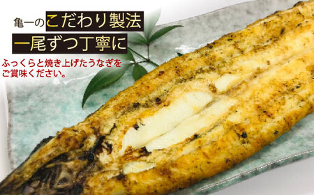 国産うなぎ 鰻 白焼き うなぎ