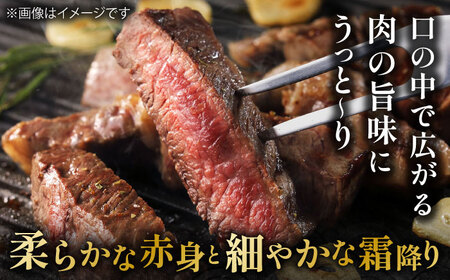 佐賀県産 黒毛和牛 サーロインステーキ 500g / サーロインステーキ [IAG016]