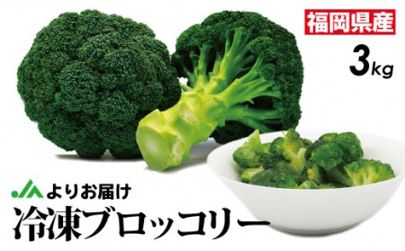 福岡県産 冷凍ブロッコリー3kg（1kg×3袋）[H2258]