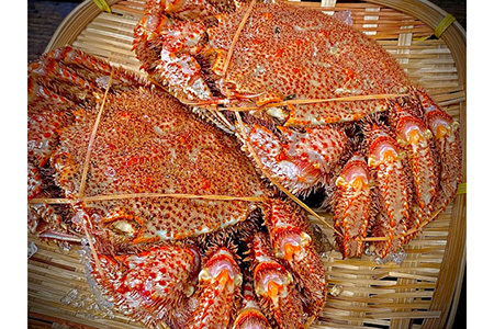 【数量限定】北海道産 毛ガニ 浜茹で毛ガニ【約800g×2尾セット】 【 ふるさと納税 人気 おすすめ ランキング 毛蟹 毛ガニ 毛がに かに味噌 カニみそ 浜茹で 北海道 網走市 送料無料 】 ABC029