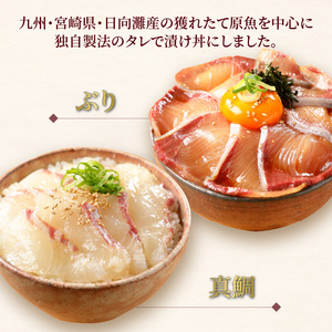 【冷凍】日向灘ぶりと真鯛の漬け丼2種食べ比べセット110g×8袋 N019-YA948