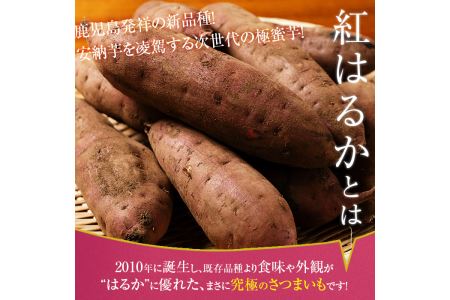 さつまいも サツマイモ 紅はるか 4kg 生芋【甘いも販売所】a174