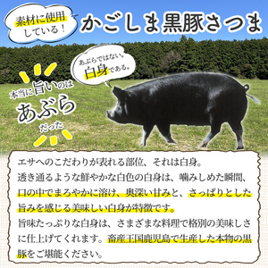 a564 国産！かごしま黒豚さつまロールステーキ20個(合計1kg)【AKR Food Company】姶良市 鹿児島県産 黒豚 肉 豚肉 豚 ステーキ 豚肉ロール 冷凍 小分け 個包装 お弁当 おかず 焼くだけ