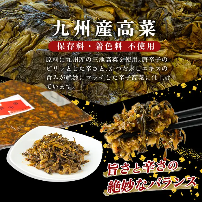 a568-B 九州産辛子高菜4kg(1kg×4パック)【九州新進】姶良市 国産 九州産 たかな 漬物 漬け物 ご飯のお供 おかず おつまみ おにぎり 常温 常温保存