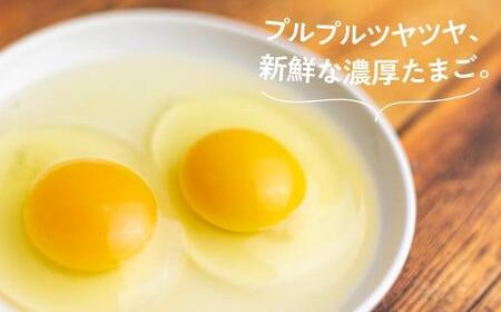 森のたまご農園 平飼い卵 24個 たまご 飛騨高山  LW005