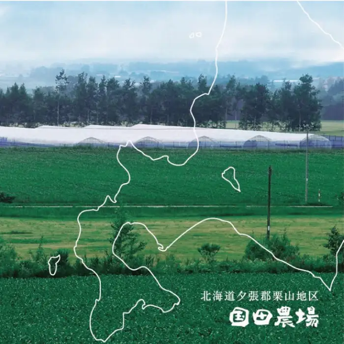 国田農場のキングメロン　1.6kg以上　1玉　北海道産