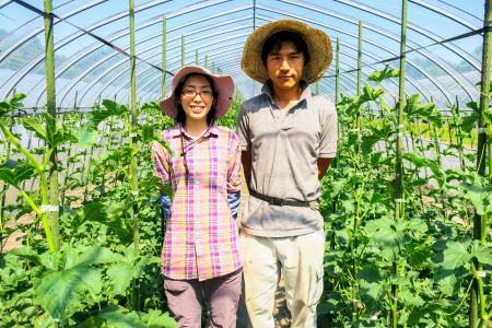 【数量限定】北海道の森が育てた奇跡のキングメロン 2玉