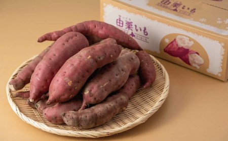 【定期便】北海道産さつまいも「由栗いも」4kg×2回