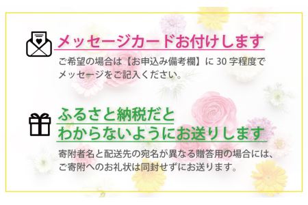 【お花の定期便6ヶ月】そのまま飾れる「スタンディングブーケ（大）」