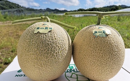 とろける舌触り！北海道栗山町東山農場産キングメロン 2玉
