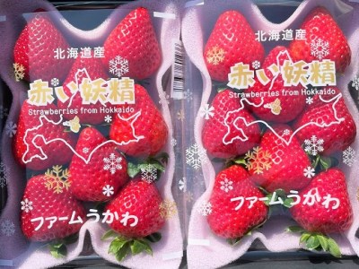 もぎたて！ファームうかわの大粒いちご2パック