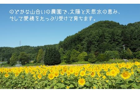 甘～い贅沢「特選甘熟レッドメロン」1玉